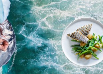 A Star-Studded Food Festival is Coming to the Sunshine Coast