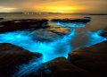 Discover the Bioluminescent Wonder of Jervis Bay