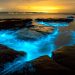 Discover the Bioluminescent Wonder of Jervis Bay